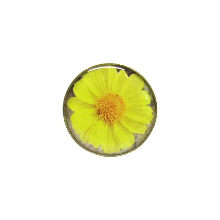 Snap-Sunflower Picture