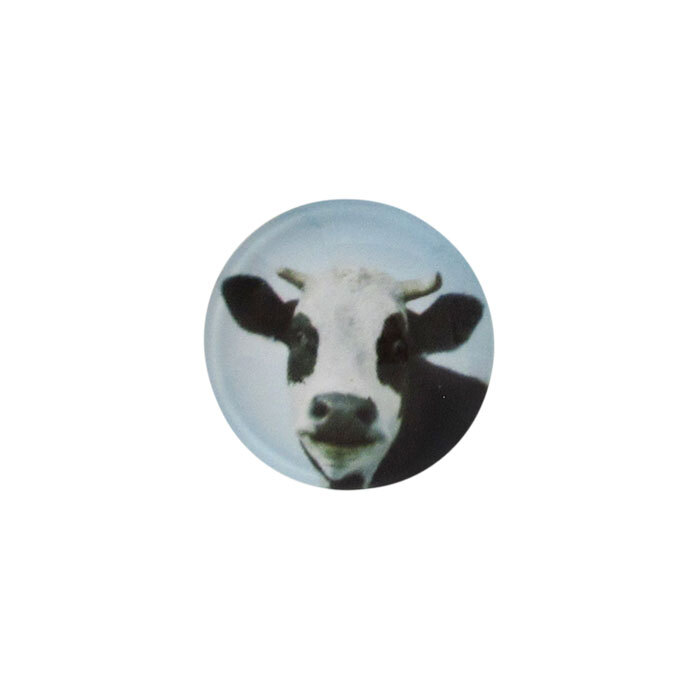 Snap-Cheeky Cow
