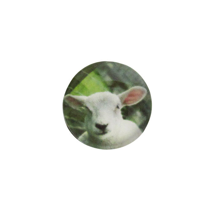 Snap-Cheeky Lamb