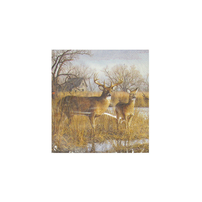 Stag & Doe Cocktail Napkin