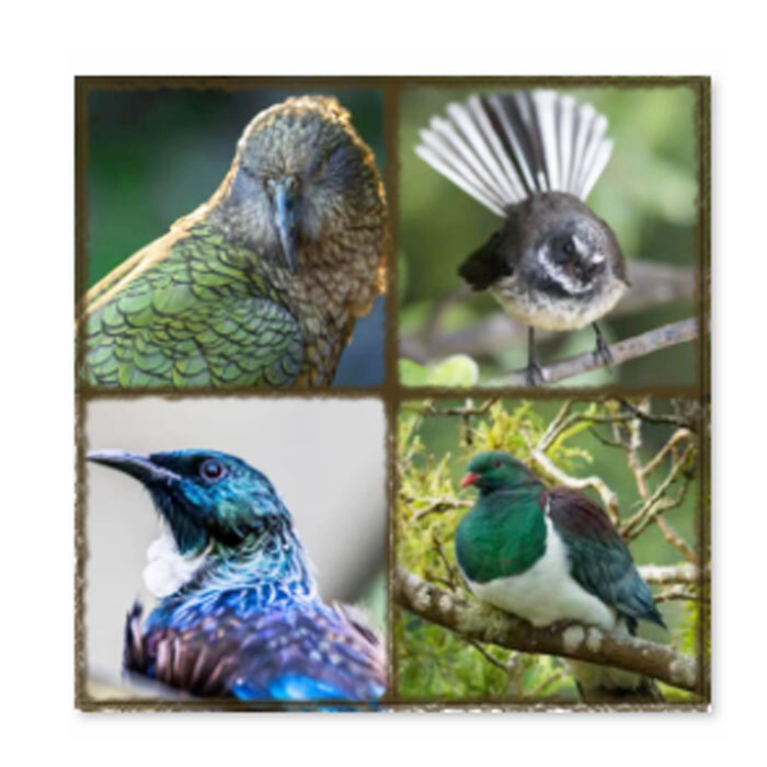 Trivet NZ Birds