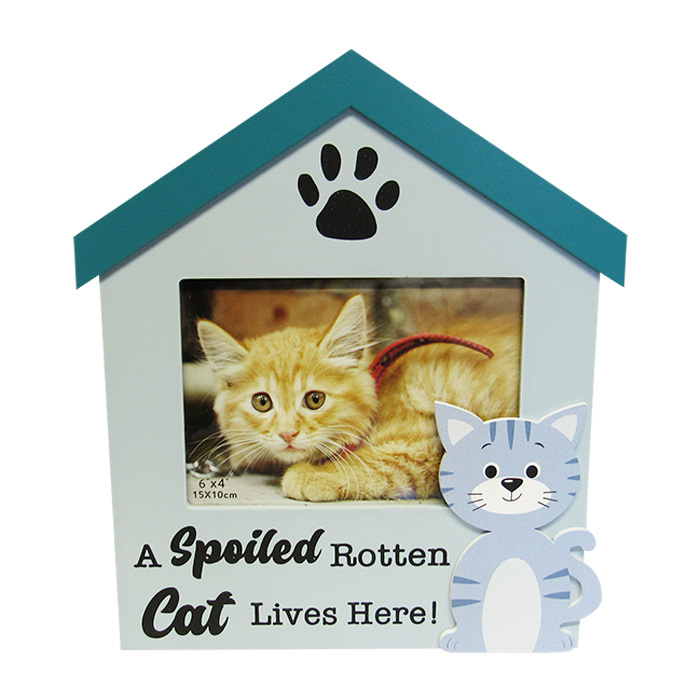 PF-Spoiled Cat
