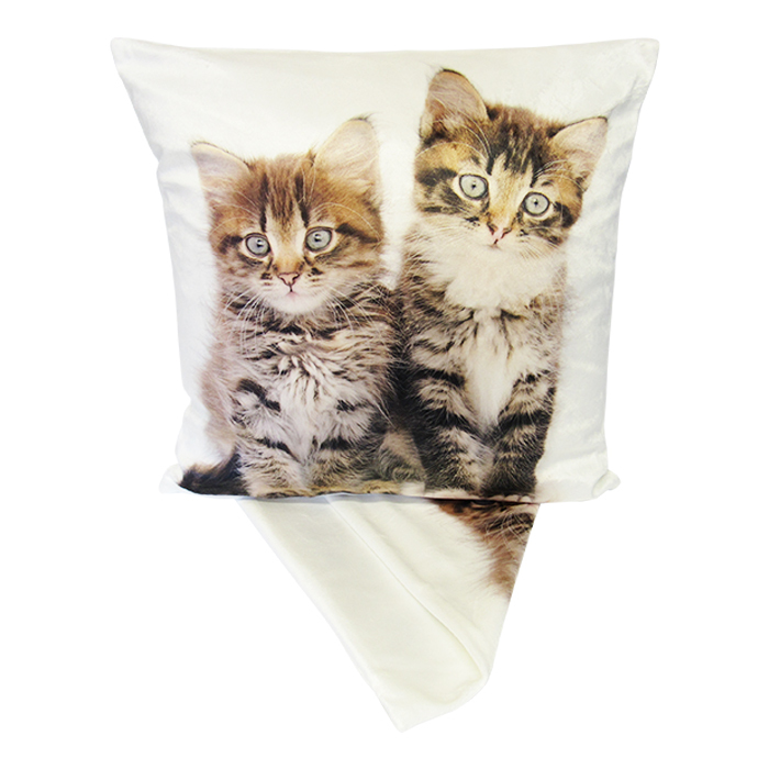 CC Plush Cute Kittens