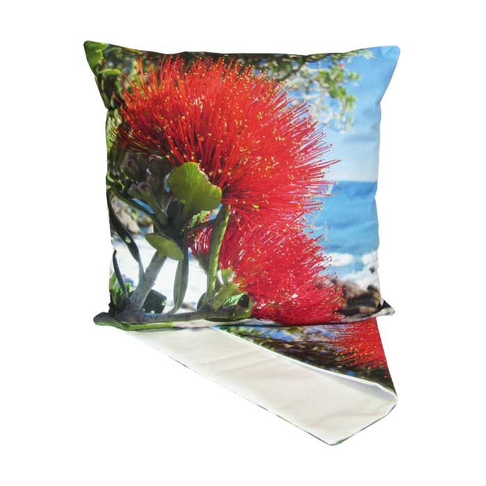 CC NZ Pohutukawa Blossom 